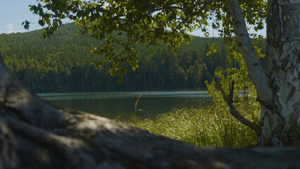 Beautiful blue clear water on the shore of the lake. Forest landscape at coast mirrored in water