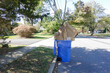 Blue Recycling Bin that is over stuffed with cardboard is seen on a residential street by a curb waiting for pickup