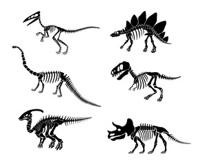 Wall Mural - Vector set with dinosaur skeleton isolated on a white background.