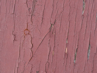 Wall Mural - Layers of old chipped yellow, blue and white paint in cracks on a wooden surface. Removing flooring from boards. Repair in the household. Soft focus.