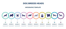Dog Breeds Heads Concept Infographic Design Template. Included Boxer, Pomeranian, Spider Black Widow, Toyger Cat, St Bernard, Locust, Pollen Beetle, Japanese Chin, German Shorthaired Pointer Icons