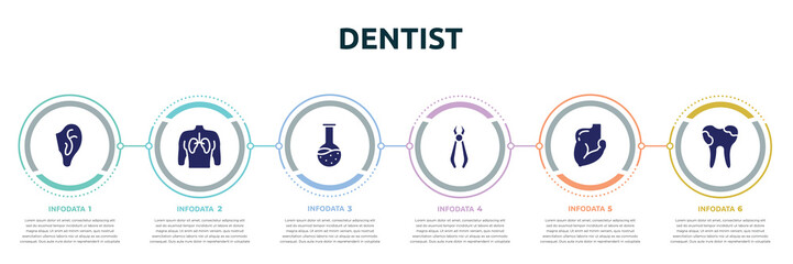 dentist concept infographic design template. included ear, human with focus on the lungs, test tube and flask, forceps of dentist tools, muscular arm, dental caries icons and 6 option or steps.