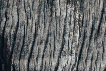 Wall Mural - gray wood pattern  texture  background