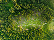 © Travel Wild - View from above, aerial view of a mountain forest destroyed by the cutting of trees. Dolomites, Italy. Concept of deforestation, environmental damage.