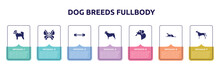 Dog Breeds Fullbody Concept Infographic Design Template. Included Bichon, Leaf Butterfly, Pet Toy, French Bulldog, Dog Licking, Border Collie, Bullmastiff Icons And 7 Option Or Steps.