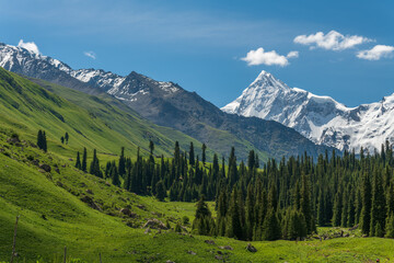 Wall Mural - Landscape with mountains and clouds. View of Xiata National Park in summer.