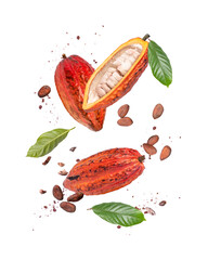 Wall Mural - Red cocoa fruit, cacao beans with cocoa nibs and chocolate powder flying in the air isolated on white background.