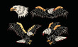 Eagle set vintage vector t shirt design. Rock and roll with wing logo artwork for apparel and others. Bird set.