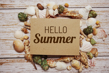Wall Mural - hello summer text message decoration with seashell on wooden background