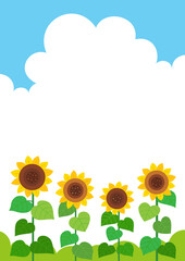 Wall Mural - Sunflowers landscape background.