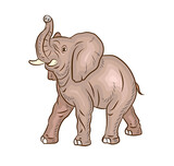 Fototapeta Dinusie - Funny animals. A large African elephant. Isolated object on a white background.
