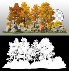 Wall Mural - group of deciduous trees among the rocks. cutout yellow trees in autumn isolated on transparent back