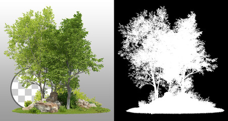 Wall Mural - group of trees among the rocks. cutout trees isolated on transparent background via an alpha channel