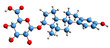 3D image of Estradiol glucuronide skeletal formula - molecular chemical structure of  conjugated metabolite of estradiol isolated on white background