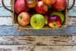 Amasya apples in basket top view half space