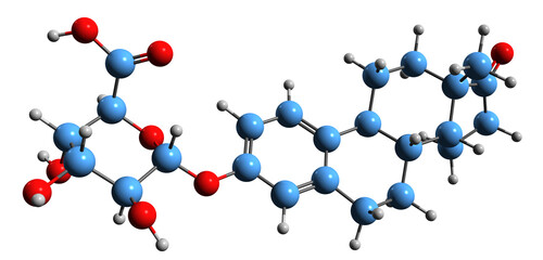 Poster -  3D image of Estrone glucuronide skeletal formula - molecular chemical structure of conjugated metabolite of estrone isolated on white background
