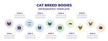 Cat Breed Bodies Infographic Design Template With Savannah Cat, Barn, Irrigation, Pixie Bob, Abyssinian Cat, Bobtail Ant Eater, Minskin Persian Icons. Can Be Used For Web, Banner, Info Graph.