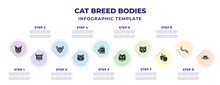 Cat Breed Bodies Infographic Design Template With Russian Blue Cat, Khao Manee Cat, Oriental Cymric Product Bag, Kinkalow Manx S, British Shorthair Icons. Can Be Used For Web, Banner, Info Graph.