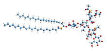 3D Image Of Monosialotetrahexosylganglioside Skeletal Formula - Molecular Chemical Structure Of GM1 Isolated On White Background

