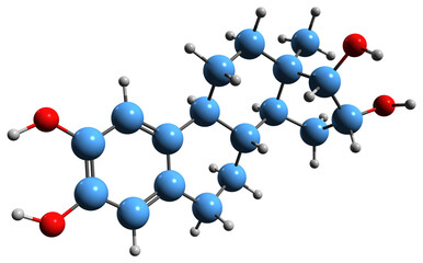 Wall Mural -  3D image of Hydroxyestriol skeletal formula - molecular chemical structure of  endogenous catechol estrogen isolated on white background
