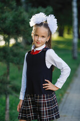 Wall Mural - Schoolgirl girl in uniform with pigtails and bows.