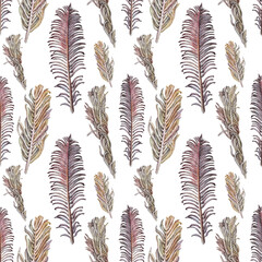 Seamless pattern watercolor dried twig fern on white background. Hand-drawn boho flower with leaves for decoration. Botanical brown plant for wallpaper wrapping. Art nature for wedding celebration