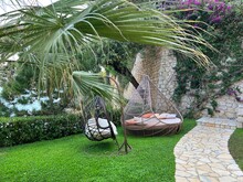 A Beautiful Tropical Garden With A Swing Chair And A Cozy Rattan Sofa For Relaxation. Lush Palm Trees, Green Grass And Bougainvillea Flowers. Idyllic Summer Scene.