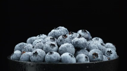 Poster - Female hand takes blueberry. Fres juicy blueberries isolated on black background