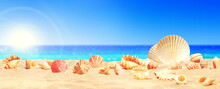 Landscape With Seashells On Tropical Beach - Summer Holiday.