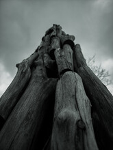 Tower Of Wood Logs In Black And White