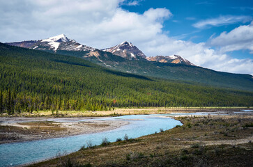 Wall Mural - Beautiful mountain landscape. Sunwapta river. Icefields Parkway - highway between Banff and Jasper. Canadian Rockies. Jasper National Park. Alberta. Canada