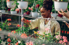 African Woman Working In A Greenhouse Flower Plant Nursery