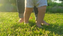 Walking Children's Bare Feet On A Green Lawn Close-up. Child Learns To Take The First Steps On The Grass. Baby Learns To Walk With The Help Of His Mother On A Green Grass In The Park.