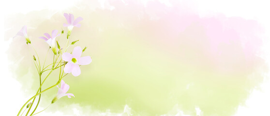 Naklejka na meble Pink field flowers on pastel watercolor background, wildflowers. Horizontal banner with copy space. Place for a text. Spring card