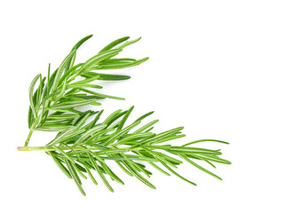 Wall Mural - Top view. Rosemary isolated on white background, Top view.