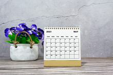 May 2023 Desk Calendar On Wooden Desk With Potted Plant.
