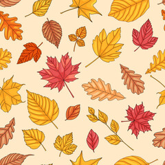 Wall Mural - Autumn leaf seamless pattern.