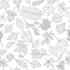 Wall Mural - Autumn leaf seamless pattern. Black and white tree leaves print