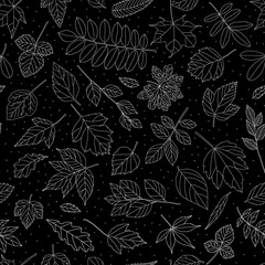Wall Mural - Autumn leaf seamless pattern. Black and white tree leaves print