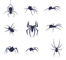 Set Of Nine Silhouettes Of Spiders. Halloween Spider Set