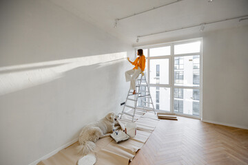 Wall Mural - Woman paints the wall in white color, stands on ladder while making repairment with her dog in newly purchased apartment