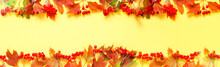 Autumn Leaves And Red Viburnum. Autumn Composition On Yellow Background. Creative Copy Space For Seasonal Projects