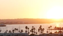 Palm Tree Silhouettes By Ocean Harbor At Sunset, San Diego, California Coast, USA. Coronado Island And Yacht Boats In Harbour, Palmtrees By Marina Under Orange Sky. Nautical Vessels In Bay At Sundown.