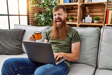 Wall Mural - Young redhead man drinking coffee and using laptop at home