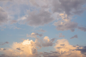 Wall Mural - beautiful sky replacement background with fluffy white and yellow hued cumulus clouds on a blue sky 