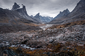 Wall Mural - Wild Weasel river winds through remote arctic valley of Akshayuk Pass, Baffin Island, Canada on a cloudy day. Dramatic arctic landscape with Mt. Breidablik and Mt. Thor. Autumn colors in the arctic.