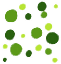 Avocada Green Dots Graphic Drawing Painting Illustration Element