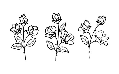 Beautiful sweet pea flowers with leaves set, line art plant branches icons. Garden summer blossom. Vector botanical illustration in black outline isolated on white background