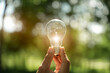 © aekachai - Light bulb Energy saving green nature background