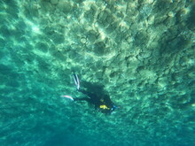 Sub In Immersione Nel Fondale Del Mar Mediterraneo